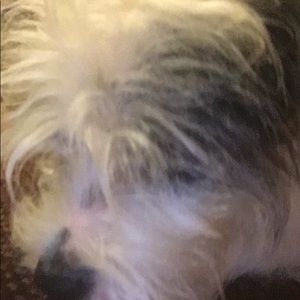 Meet your Posher, Kaci